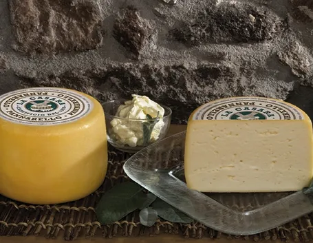 Pannarello