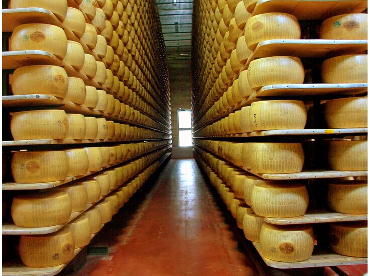 PARMIGIANO REGGIANO