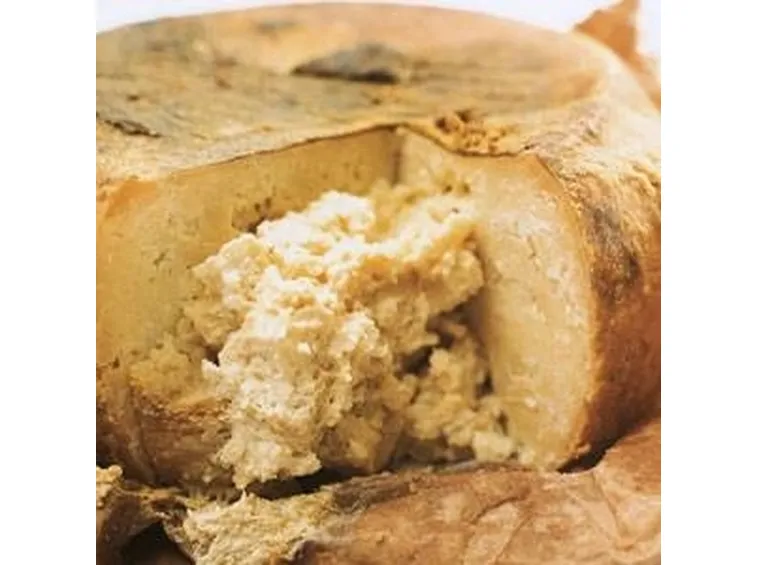 pecorino sardo