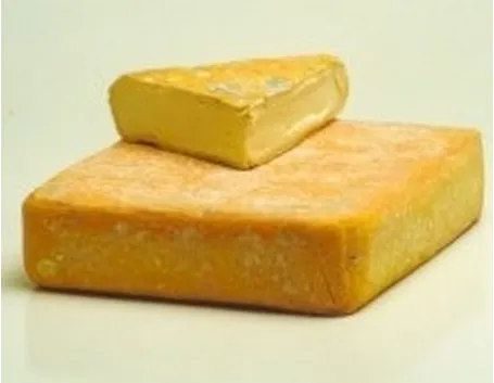 taleggio