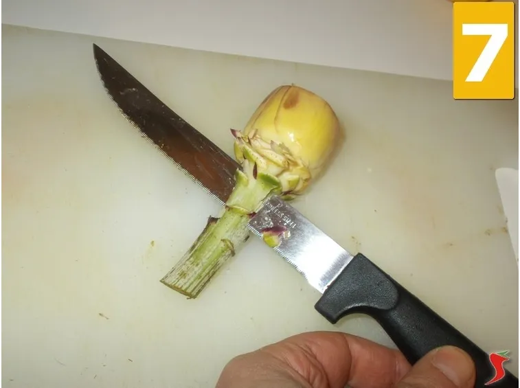 carciofi