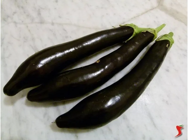 le melanzane