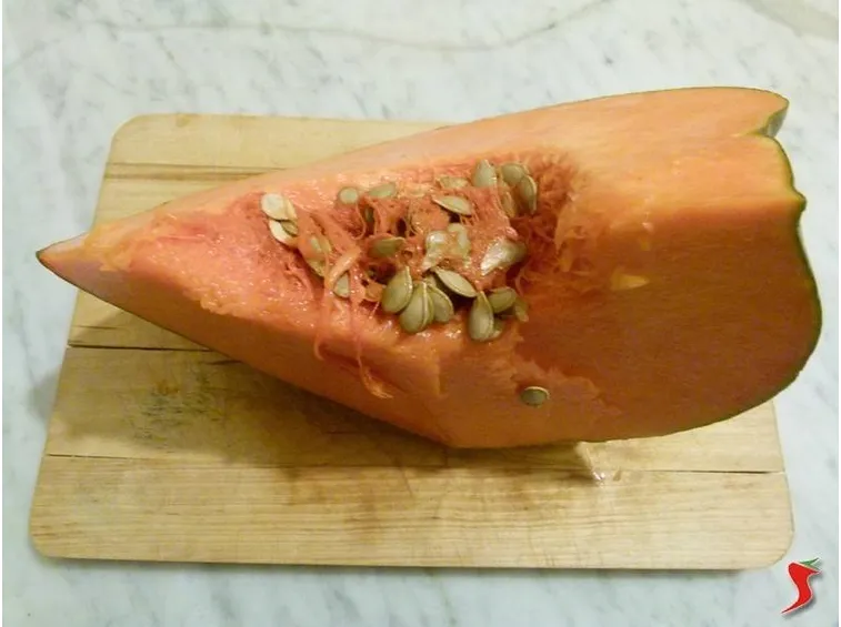 la zucca con semini