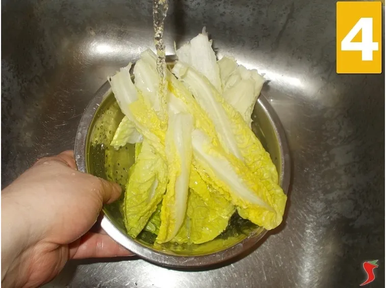 lattuga