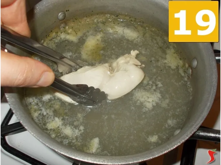 pollo 