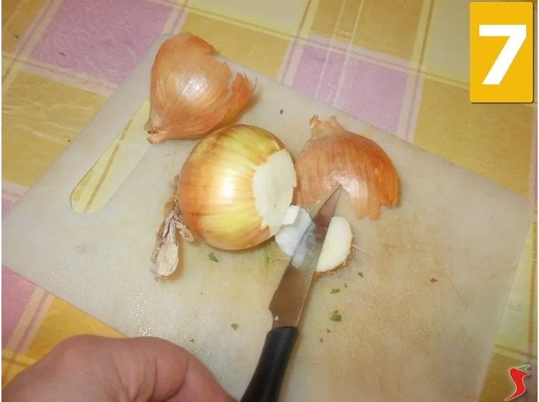 La cipolla