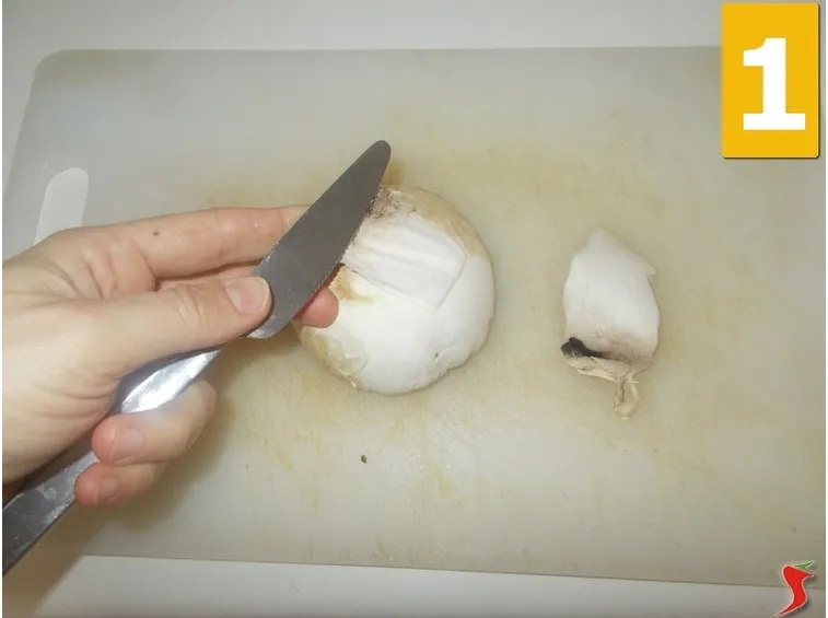 Lavorate i funghi