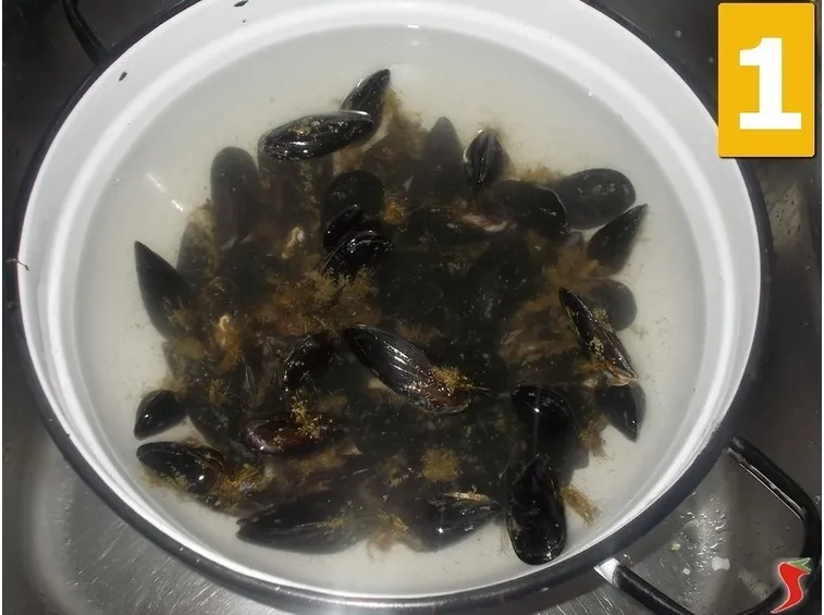Le cozze