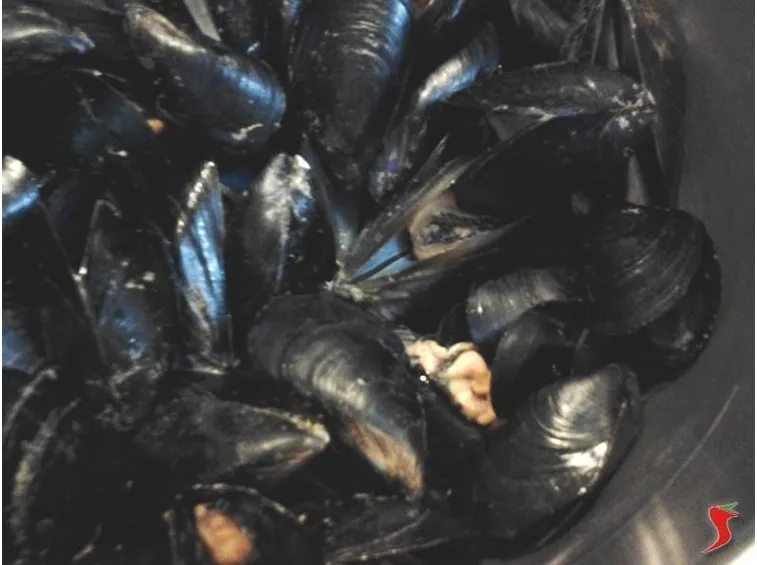 cozze in cottura