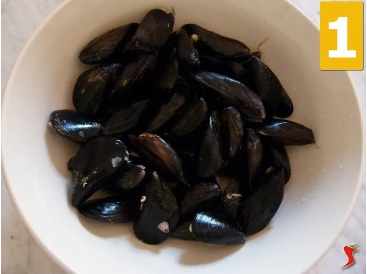 cozze