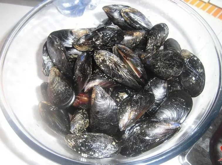 Ingredienti