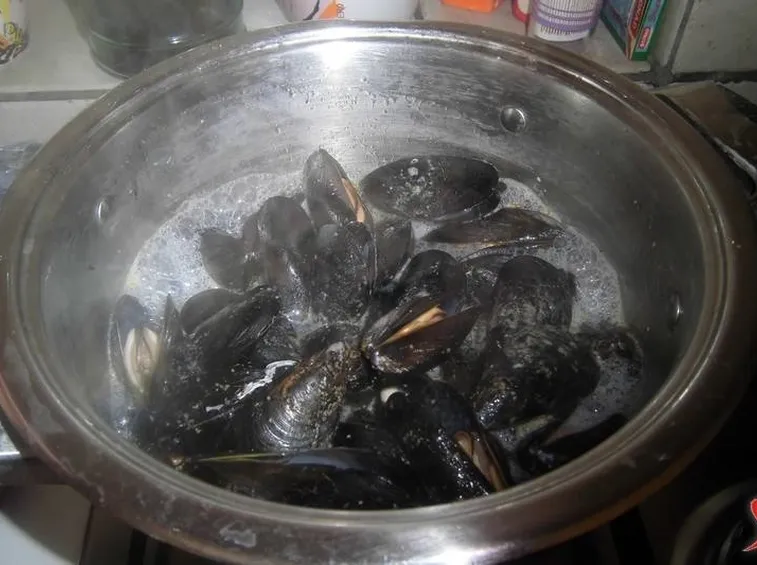cottura cozze 