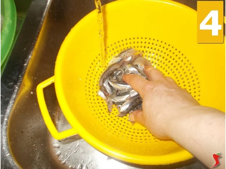 Acciughe alla povera