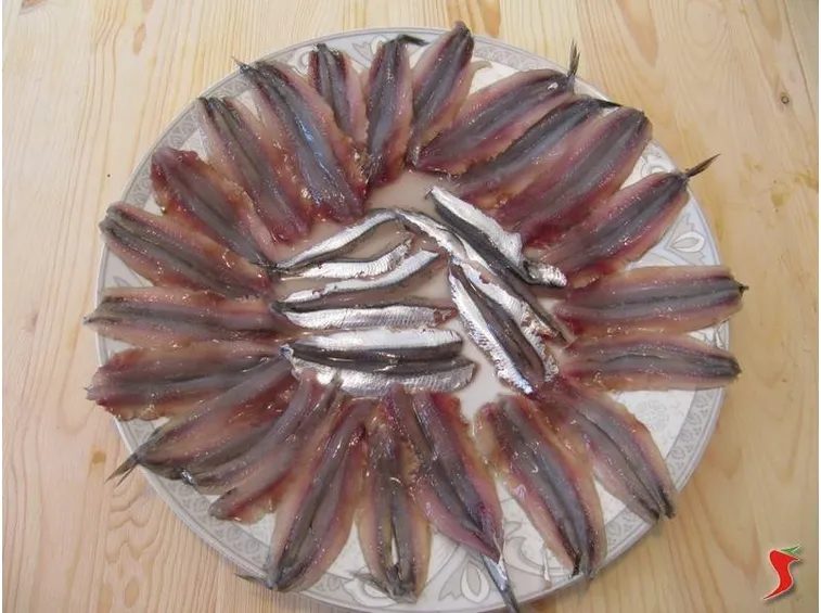 alici