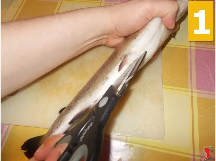 Sviscerate il pesce