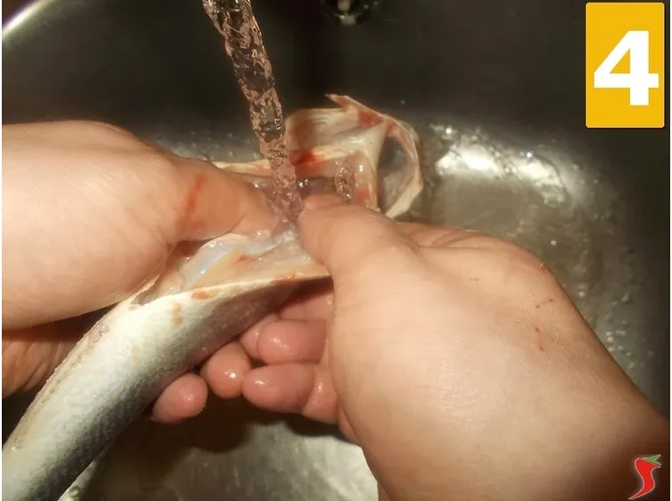 Lavate il branzino