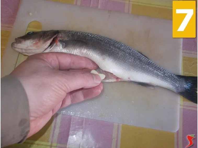 Condite il pesce