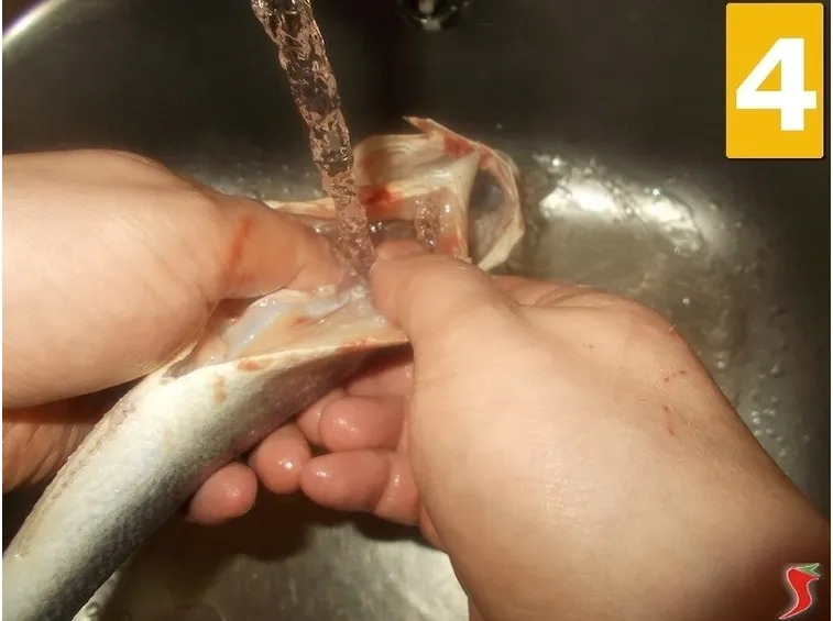 Lavate il pesce