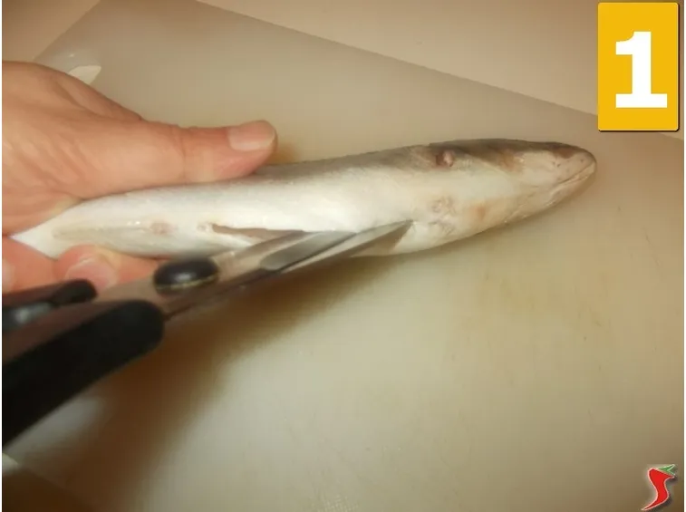 Sviscerate il pesce
