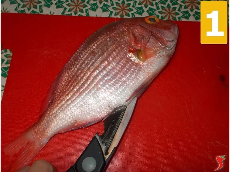 Pulite il pesce