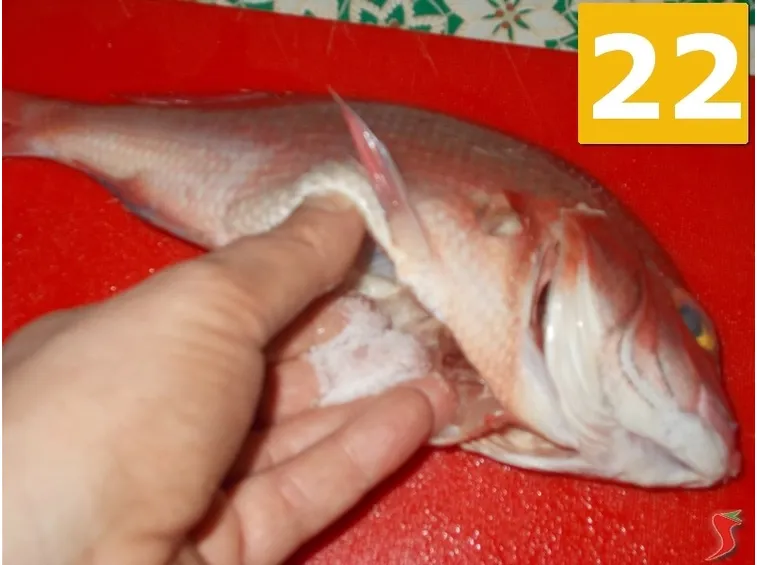 Condite il pesce