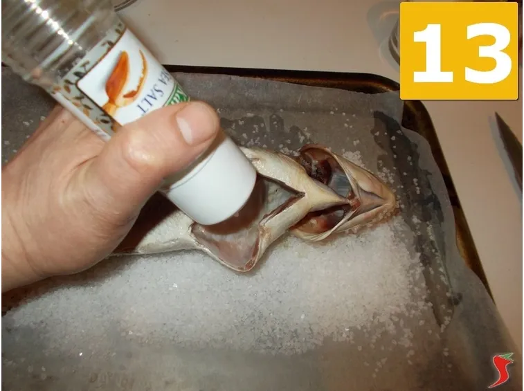 Dentice al sale