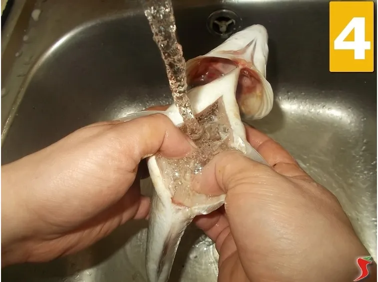 Lavate il pesce