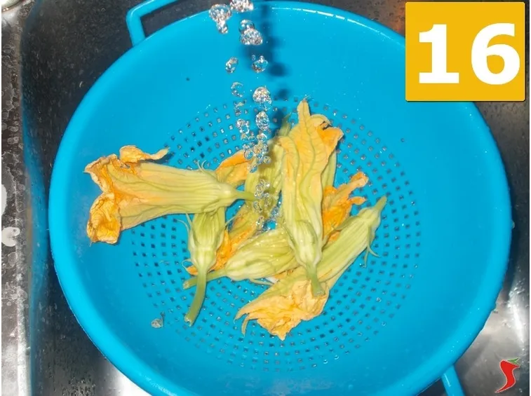 I fiori di zucca