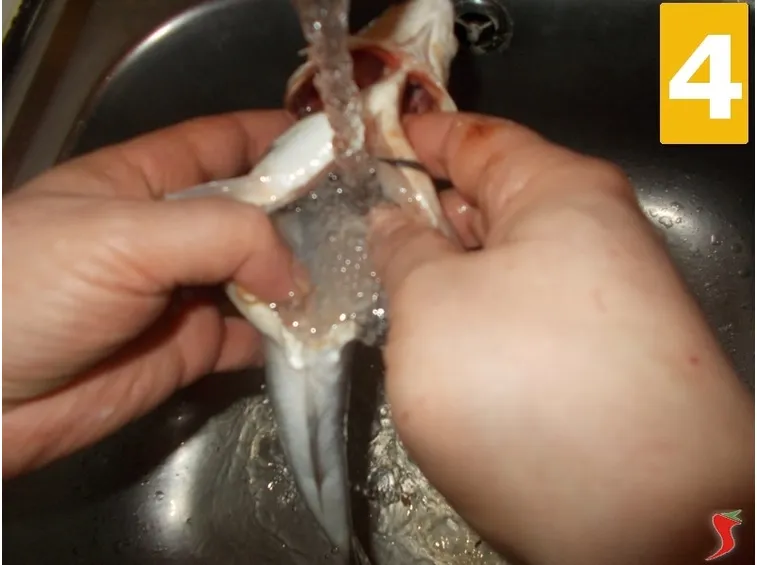 Pulite il pesce
