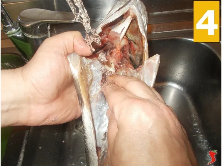 ombrina