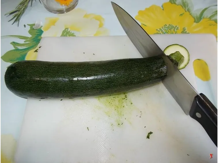 zucchina