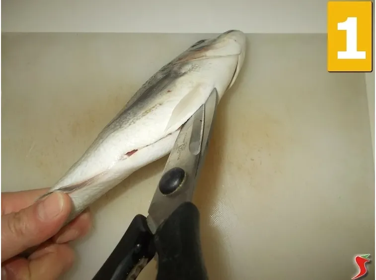 Sviscerate il pesce