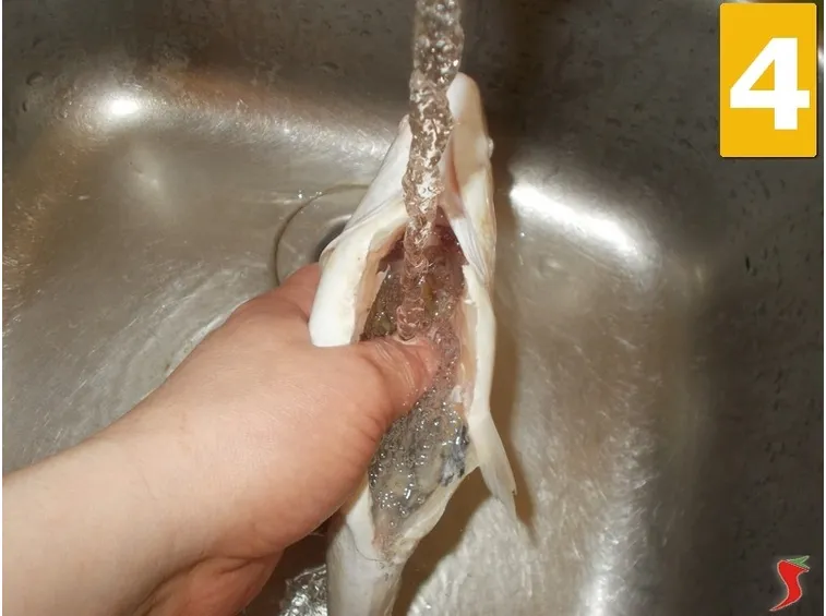 Orata alla griglia