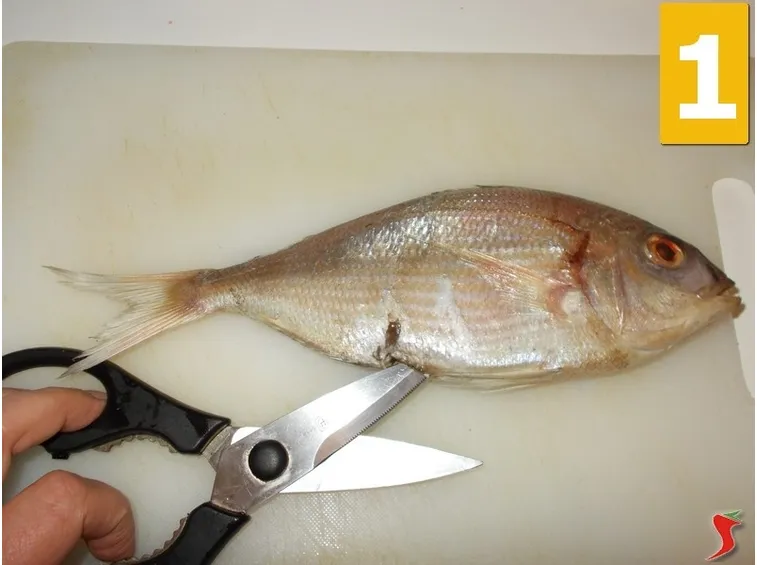 pesce all acquapazza