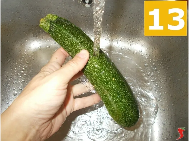 La zucchina