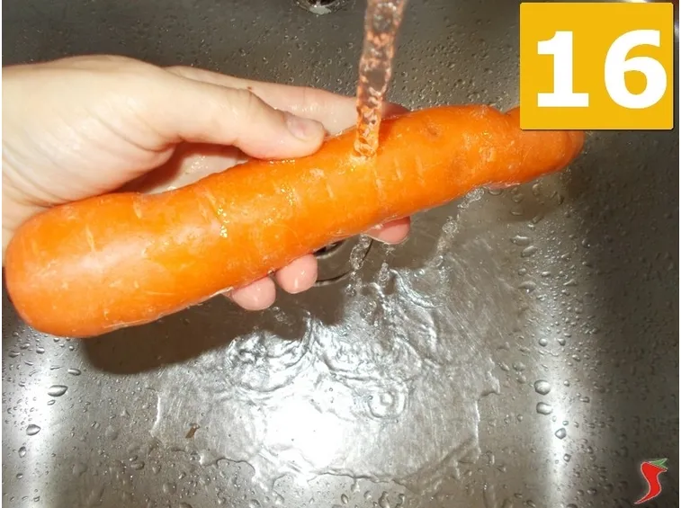 La carota