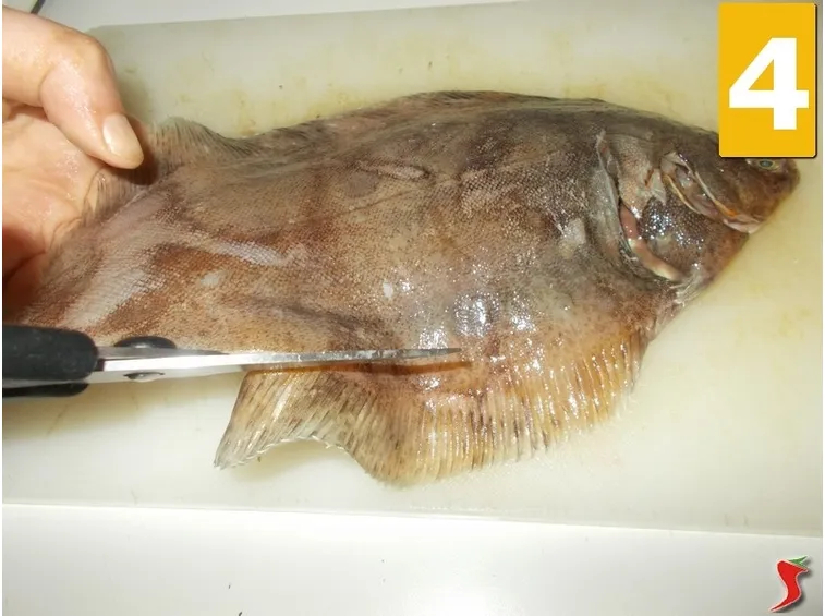 Proseguite la pulizia del pesce