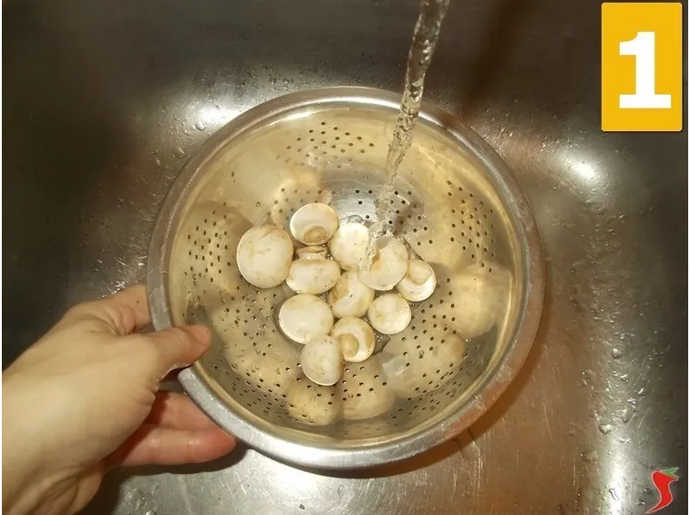 I funghi champignon