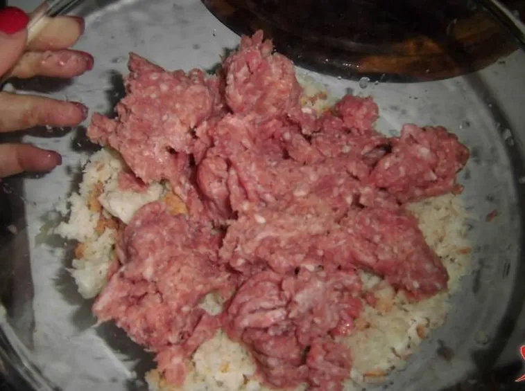 carne