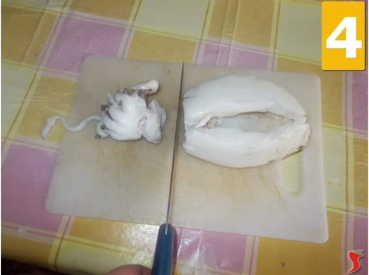 I calamari