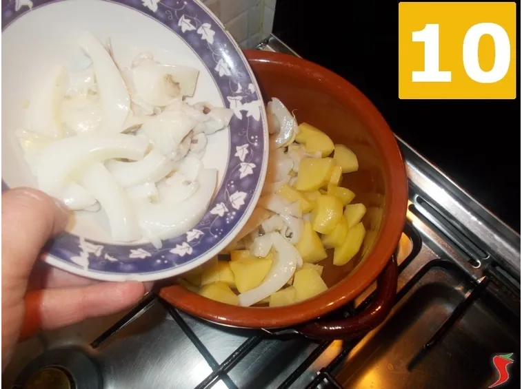 Cuocere i calamari