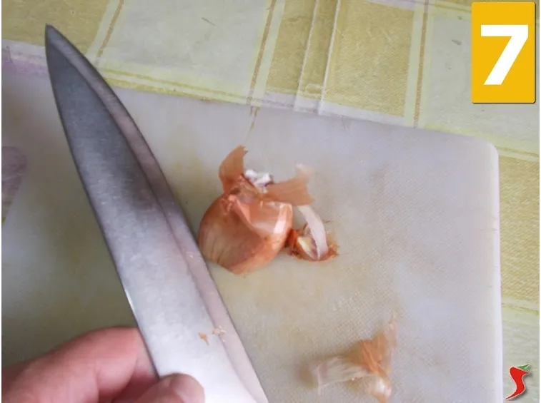 Lo scalogno