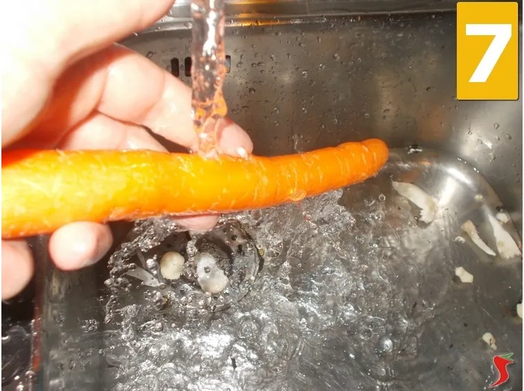 carota