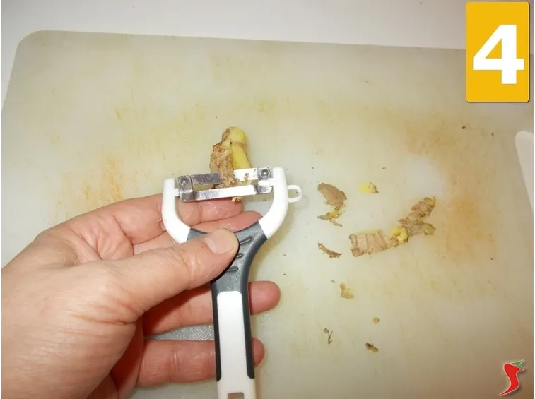 zenzero