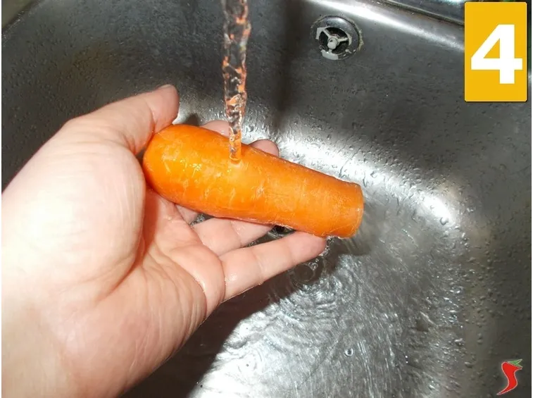 carota