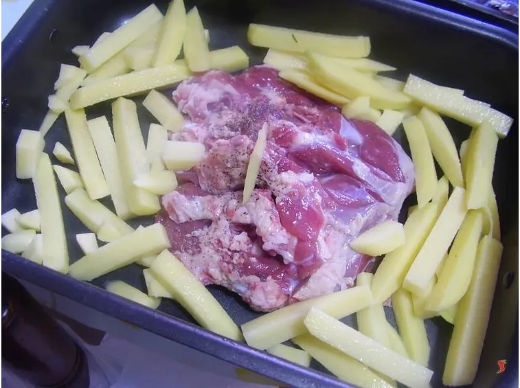 agnello