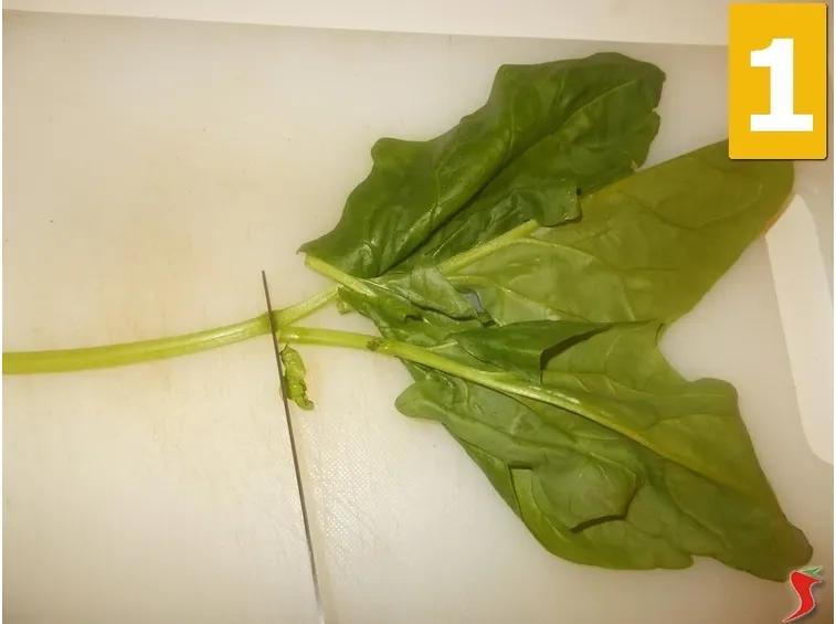 spinaci