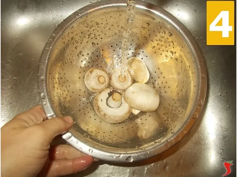 funghi