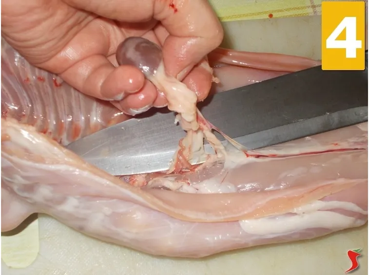 Terminate di preparare il coniglio