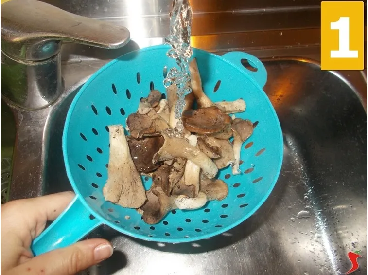 Lavorate i funghi